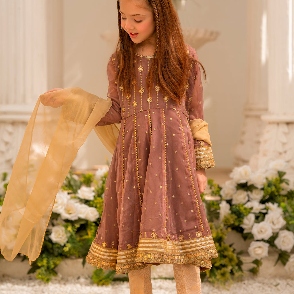 Nazneen by Tassels Embroidered 3 Piece Stitched Chiffon Suit NT23J3Ja