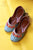 Aster (Kids)